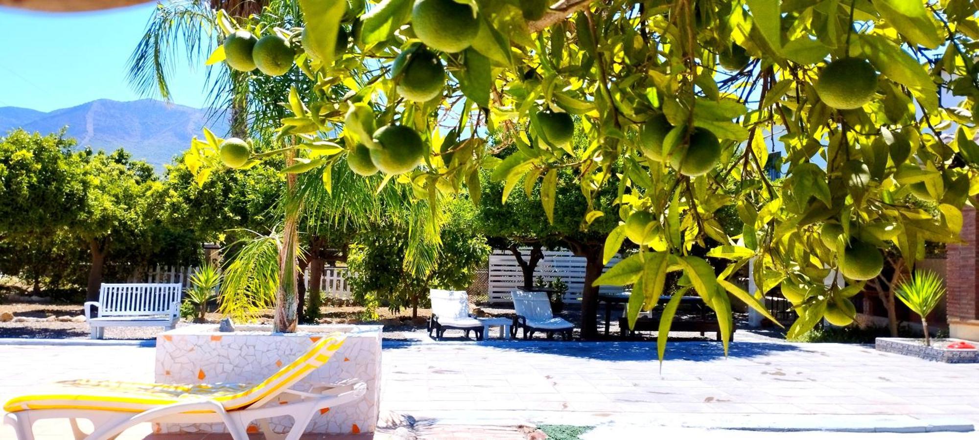 Finca El Aulagar Малага Екстериор снимка